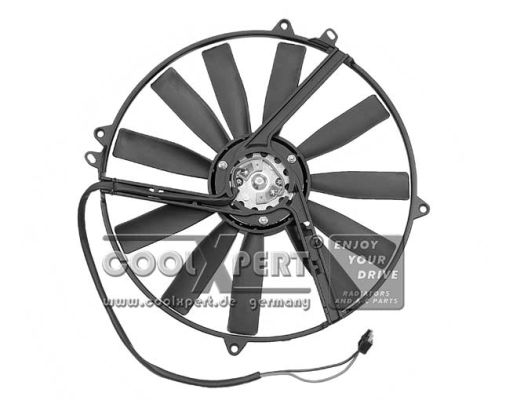 BBR AUTOMOTIVE Ventilators, Motora dzesēšanas sistēma 001-60-00525